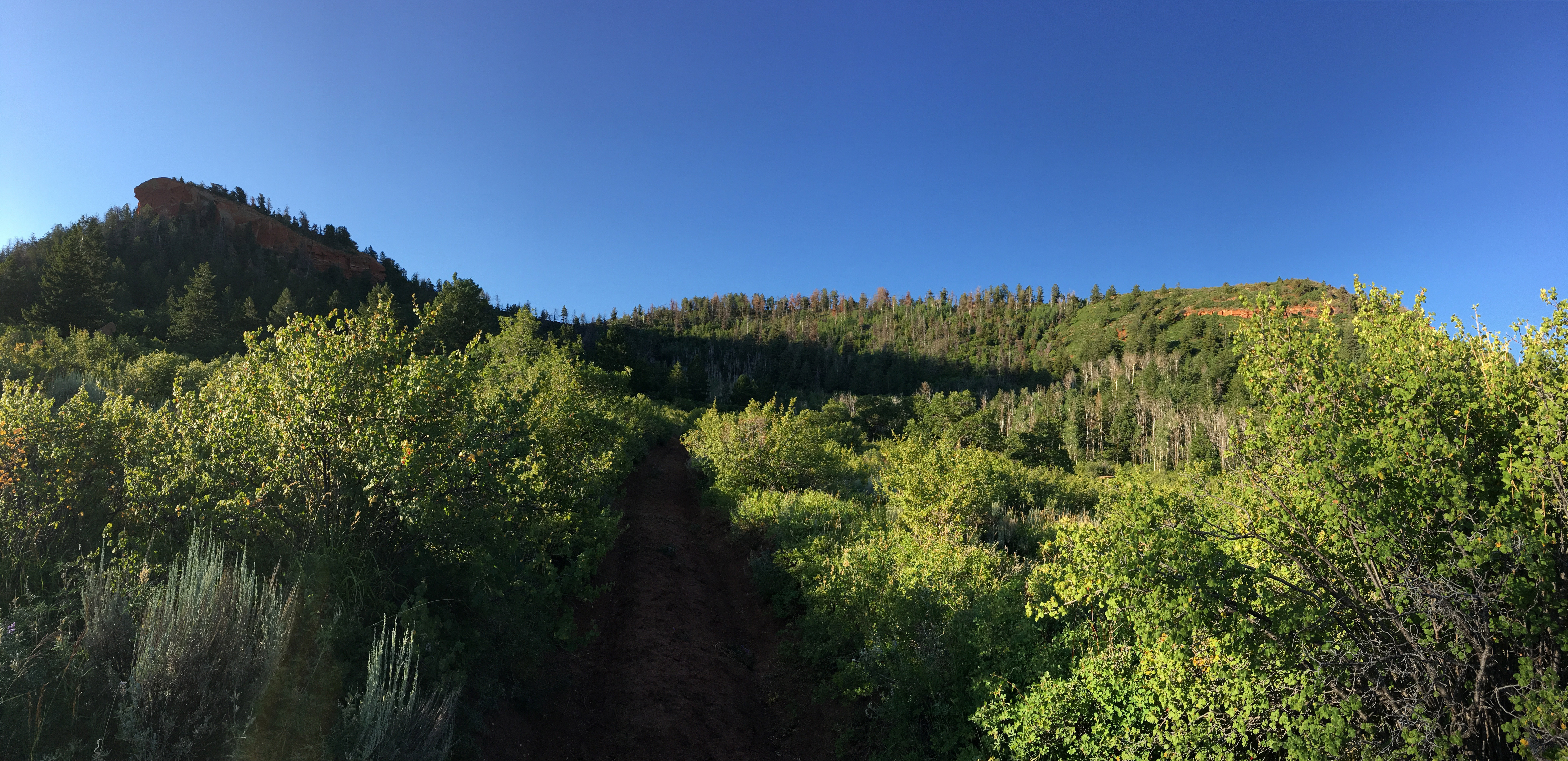 Bears Ears